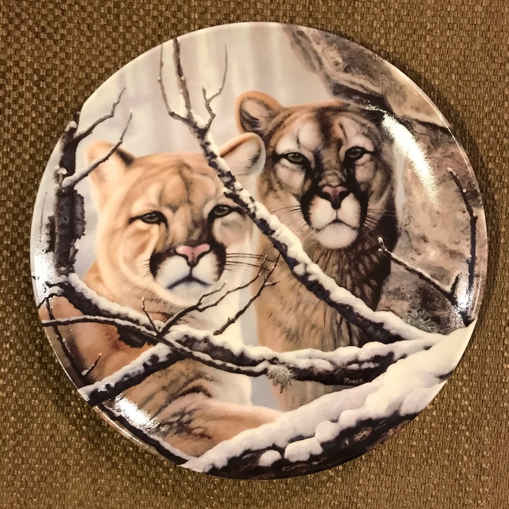 Two Cougars Collectible Plate